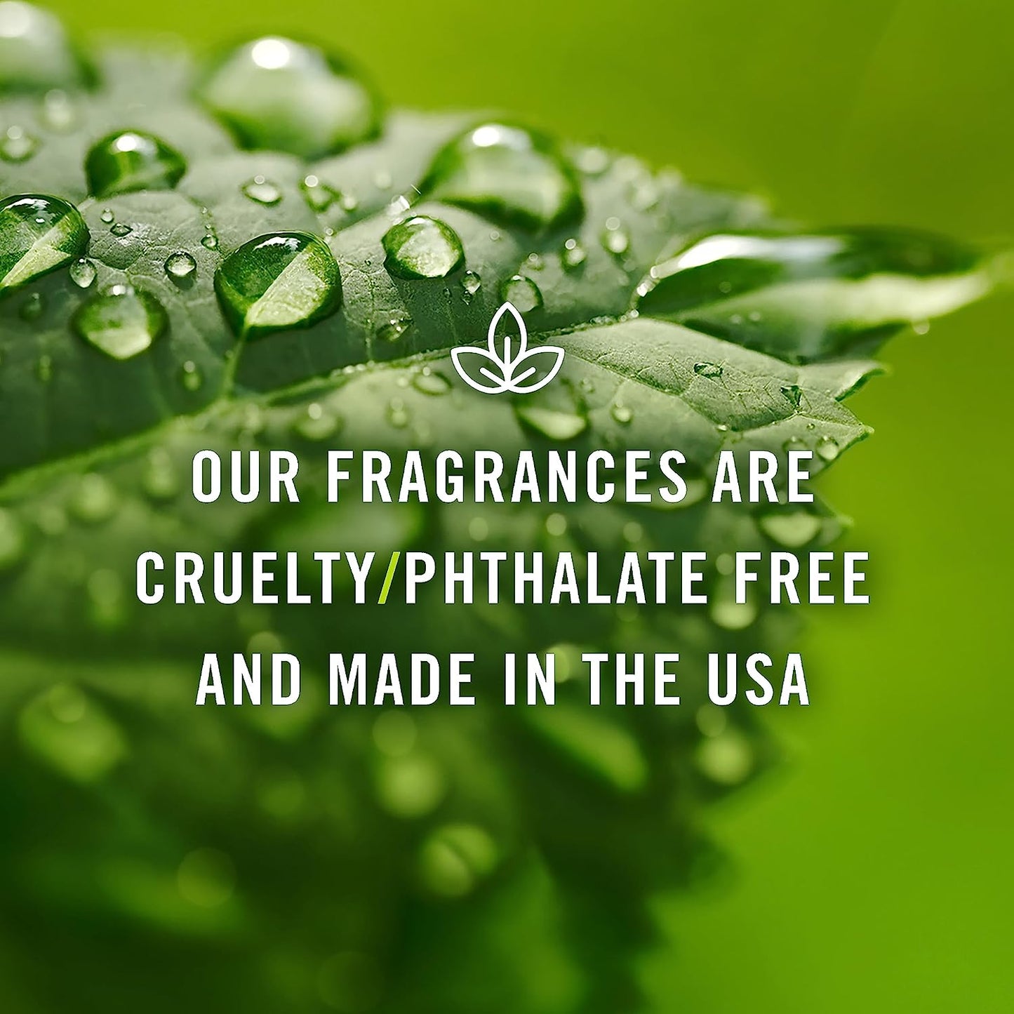 Fragrance Oil for Diffusers for Home - Rose 10Ml Fragrance Scents for Candle Making - Soap Making Supplies & Car Diffuser Scents