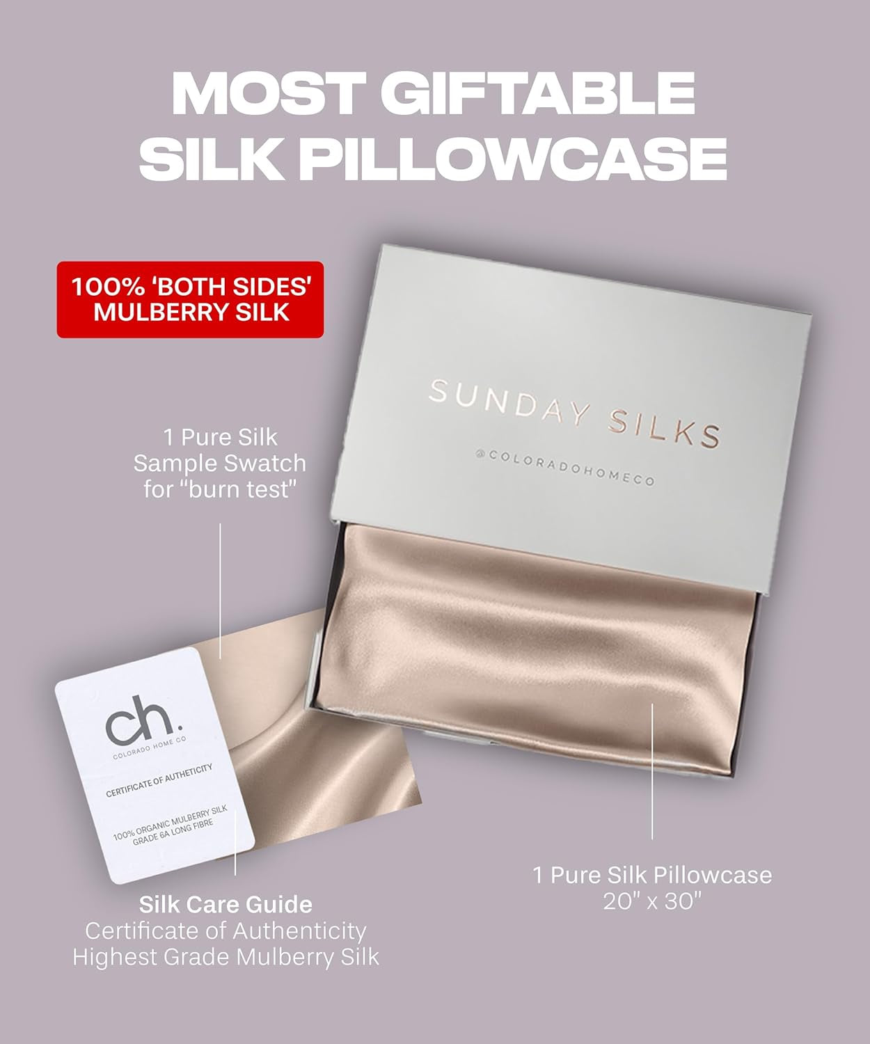 SUNDAYSILKS™ Premium Silk Pillow Cases | 100% Mulberry Silk Pillowcase with Zipper, Real 22 Momme Grade 6A Silk, Standard Queen, King Size [Nude Champagne]